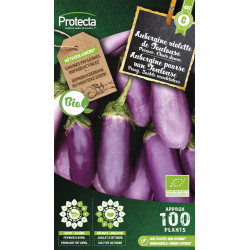 Semences d'aubergine violette de Toulouse PROTECTA