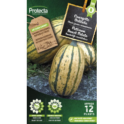 Semences de courgette Delicata PROTECTA