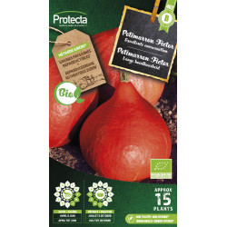 Semences de potimarron Fictor PROTECTA
