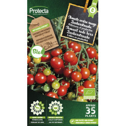 Semences de tomate cerise rouge Zuckerstraube PROTECTA
