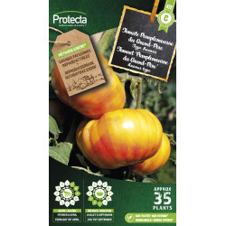 Semences de tomate Pamplemousse du Grand-Père PROTECTA