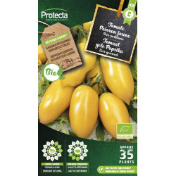 Semences de tomate Poivron jaune PROTECTA