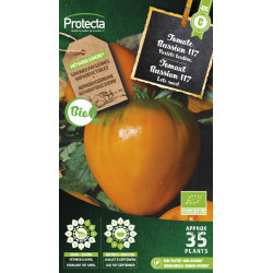 Semences de tomate Russian 117 PROTECTA