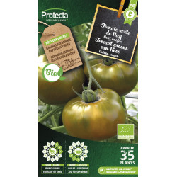 Semences de tomate verte de Huy PROTECTA