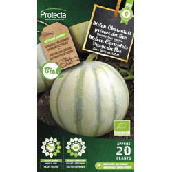 Semences de melon Charentais précoce du Roc PROTECTA