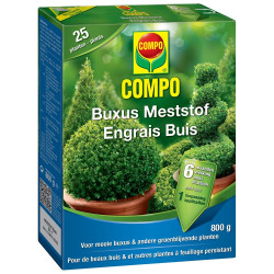 Engrais pour buis COMPO 0,8 kg – Nourrit vos buis | COMPO