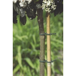 Lien plastique 35 cm NORTENE – Lot de 20 | NORTENE