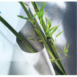 Feutre anti-rhizome bambou – Contrôle efficace | NORTENE

