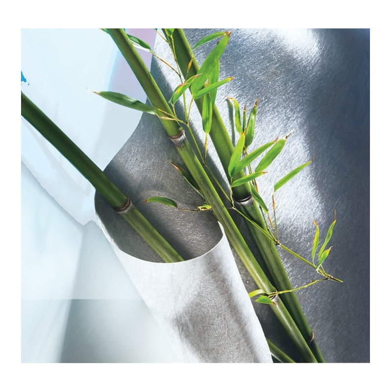 Feutre anti-rhizome bambou – Contrôle efficace | NORTENE

