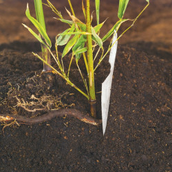 Feutre anti-rhizome bambou – Contrôle efficace | NORTENE

