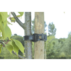 Collier de fixation pour arbre 55 cm – Soutien fiable | NORTENE