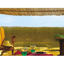 Paillon naturel 1x5m – Brise-vue idéal | NORTENE