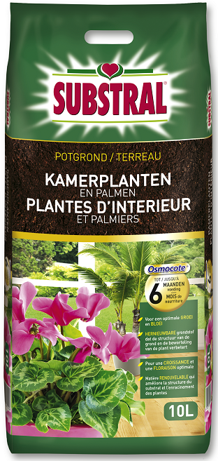 Substral Terreau Pour Plantes D'Intérieur Et Palmiers, 10 L