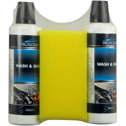 Nettoyant voiture Wash & Shine – Brillance et Protection | PROTECTON Nettoyant voiture Wash & Shine – Brillance et Protection | PROTECTON