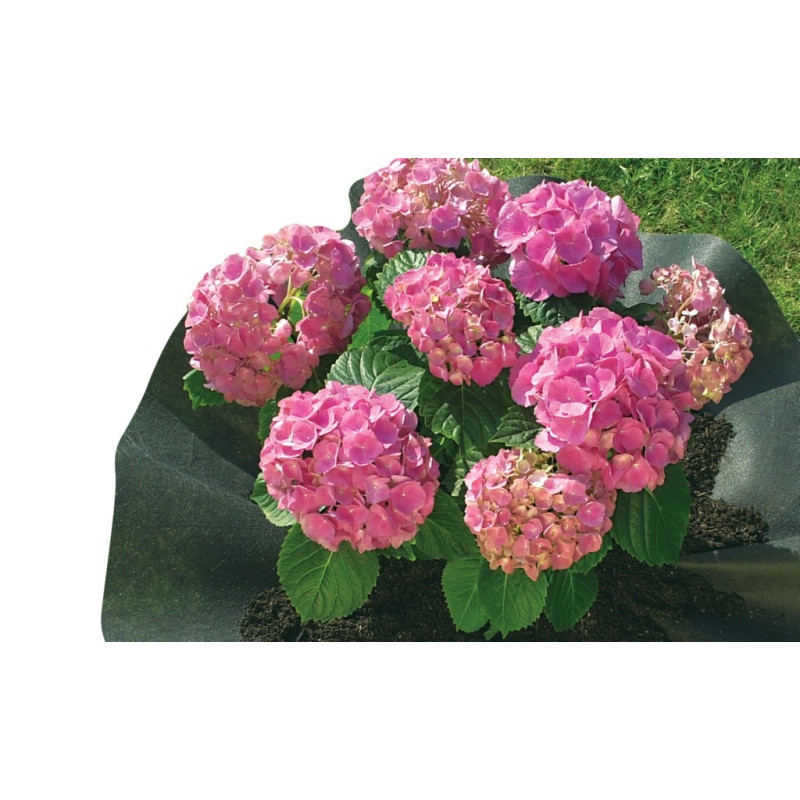 Feutre plantation arbustes – Terre de bruyère | NORTENE

