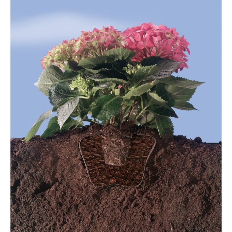 Feutre plantation arbustes – Terre de bruyère | NORTENE

