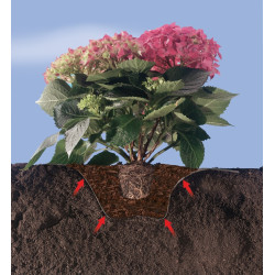 Feutre plantation arbustes – Terre de bruyère | NORTENE

