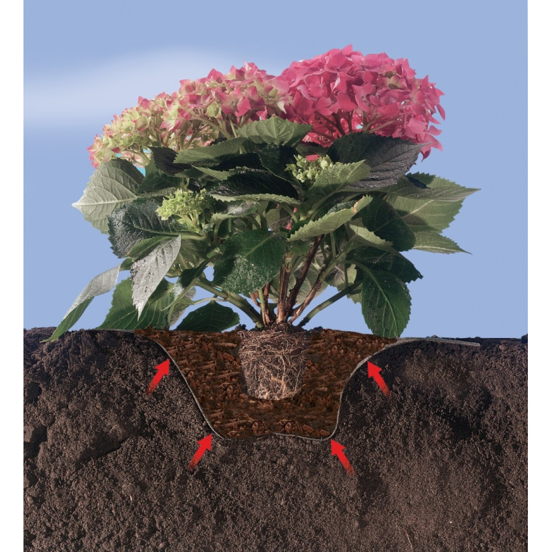 Feutre plantation arbustes – Terre de bruyère | NORTENE

