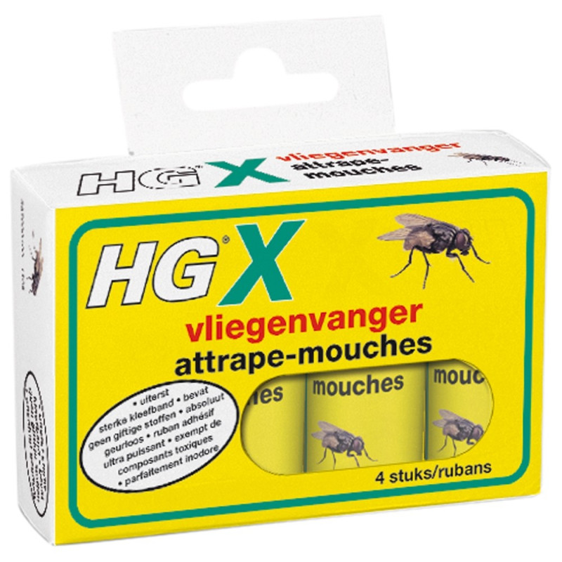 Attrape-mouche HG