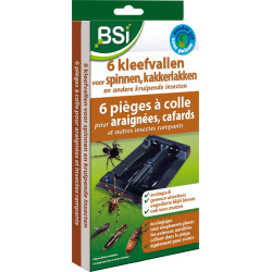 Piège à colle pour araignées, cafards et autres insectes rampants 6 pièces BSI