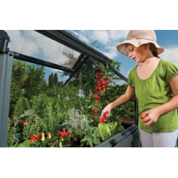 Mini serre surélevée PLANT INN– Culture facile