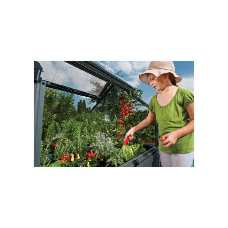 Mini serre surélevée PLANT INN– Culture facile