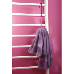 Crochet en S zingué 20 cm