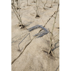 Toile antiracine ADVOTEX 200cm – Protège votre jardin | ADVOTEX