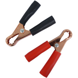 Pince de batterie 50A 2 pièces – Connexion Fiable | CARPOINT

