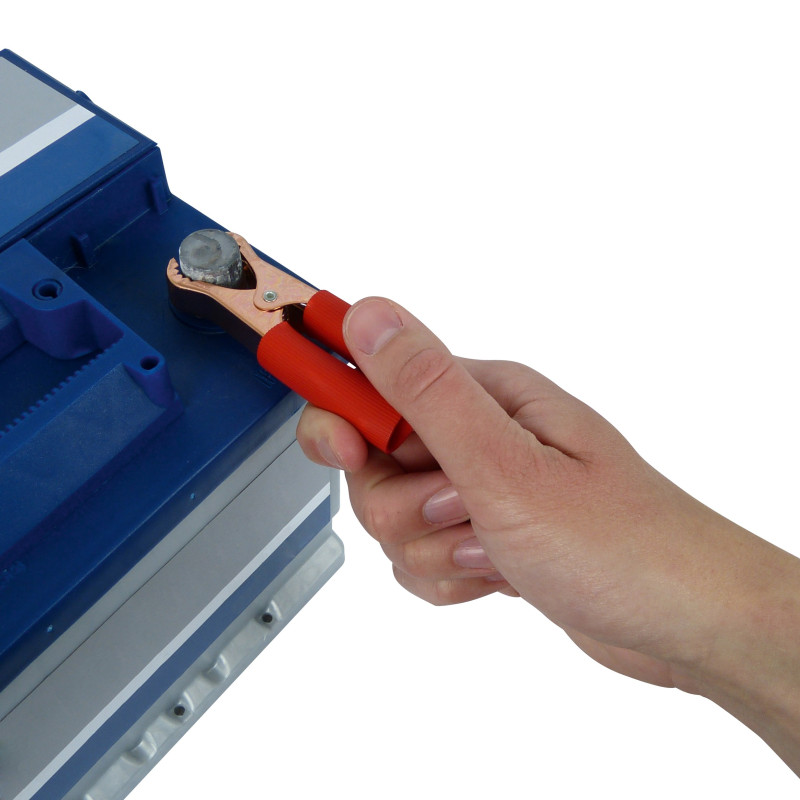 Pince de batterie 50A 2 pièces – Connexion Fiable | CARPOINT

