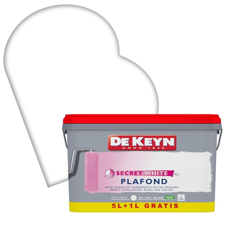 Peinture plafond blanc 5 + 1 L gratuit DE KEYN