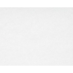 Intissé Strong 100 cm – Revêtement Mural Durable