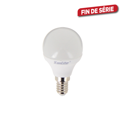 Ampoule globe P45 LED E14 5,4 W 470 lm blanc chaud dimmable XANLITE