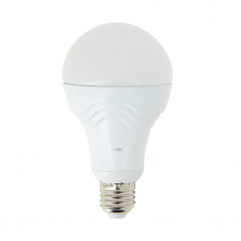 Ampoule globe A60 LED E27 blanc chaud 1521 lm 14,2 W XANLITE