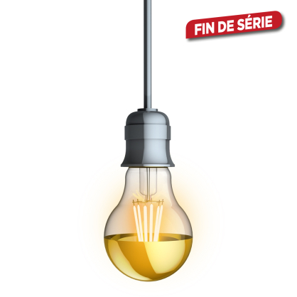 Ampoule vintage A60 dorée LED E27 blanc chaud 3,8 W XANLITE