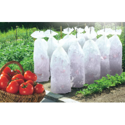 Gaine de croissance Tomatex – Protection optimale | NORTENE