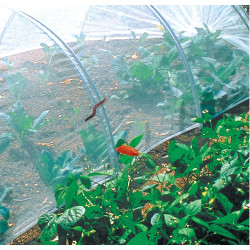 Filet anti-insectes Biocontrol NORTENE – Protection naturelle | NORTENE