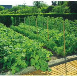 Filet à ramer Trellinet – Soutien Idéal Jardin | NORTENE