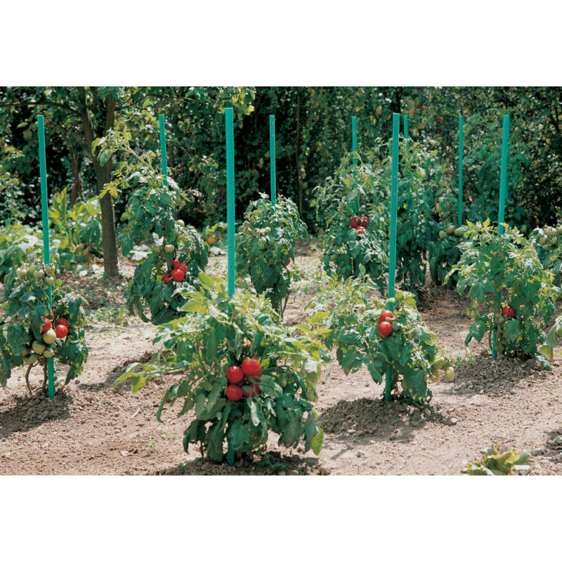 Tuteur pour tomates à réserve d'eau NORTENE