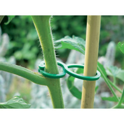 Clips pour plantes NORTENE – Lot de 25 | NORTENE