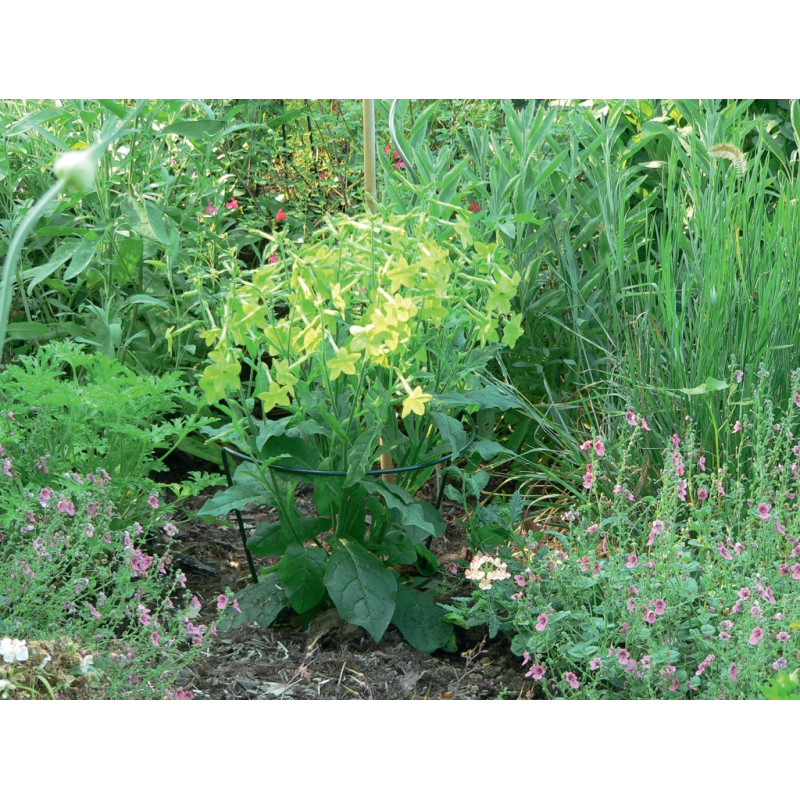 Support à planter NORTENE