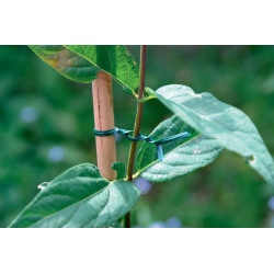 Lien acier plastifié – Support fiable pour plantes | NORTENE