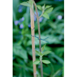 Fil de fer plastifié – Idéal jardinage | NORTENE