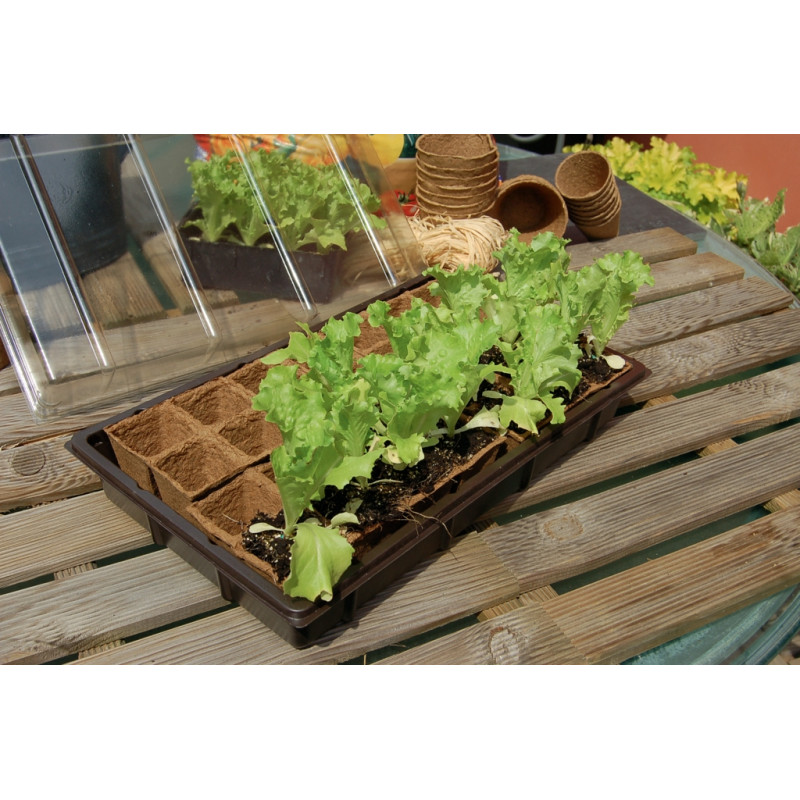 Mini-serre avec plaque de culture Growing Kit NORTENE