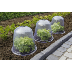 Cloche de protection Bell 3 pièces – Protégez vos semis | NORTENE