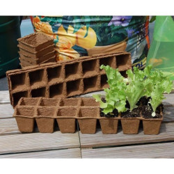 Plaque de culture Growing Pot NORTENE – Semis Facile | NORTENE