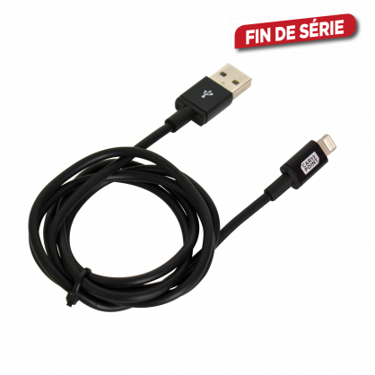 Câble de charge Lightning et micro USB 1 m
