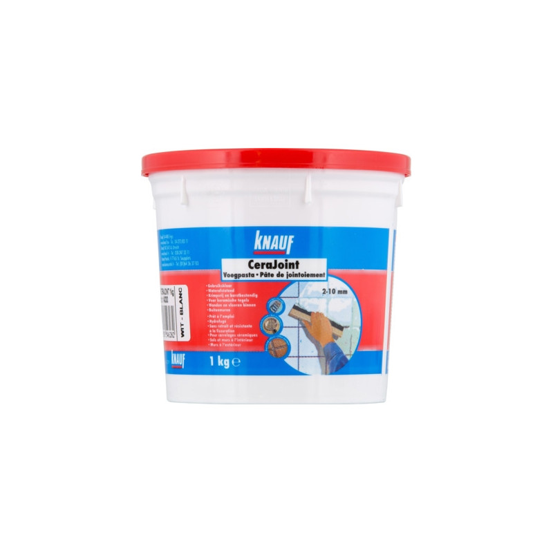 Pâte de jointoiement CeraJoint grise 1 kg KNAUF