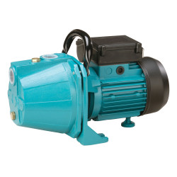 Pompe d'arrosage PS800 800 W 1ER