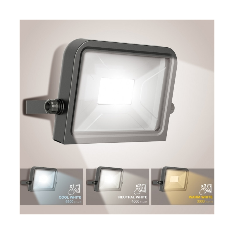 Projecteur mural 20 W (blanc chaud/neutre/froid)